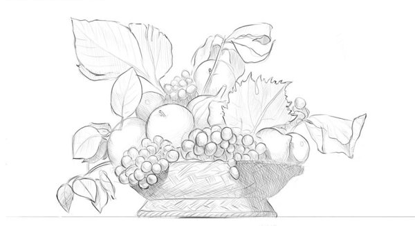Эскиз натюрморта с фруктами