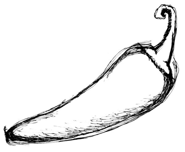 Перец Чили карандашом