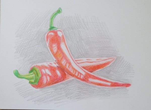 Нарисовать перец карандашом