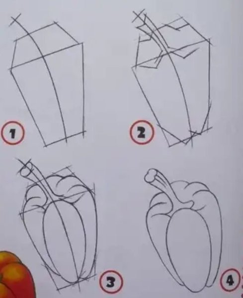 Болгарский перец карандашом