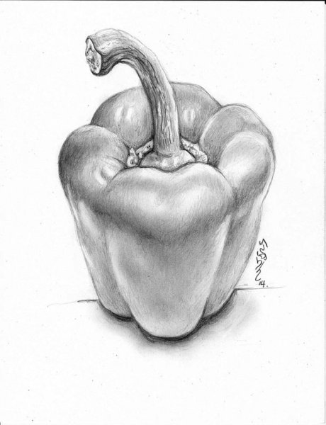 Перец раскраска