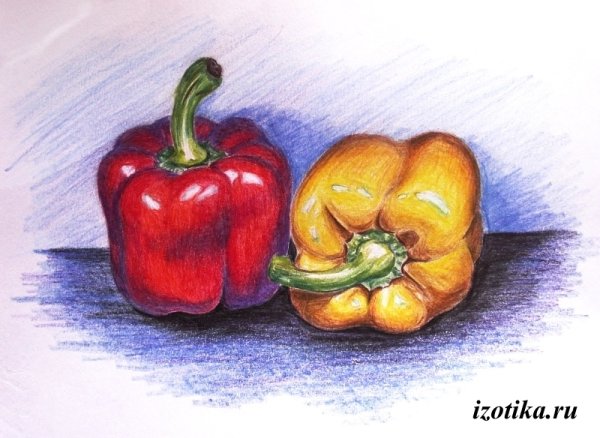 Перец простым карандашом