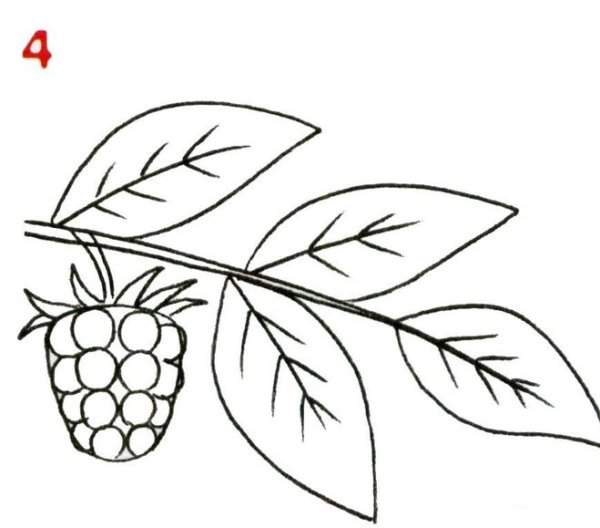 Малина трафарет