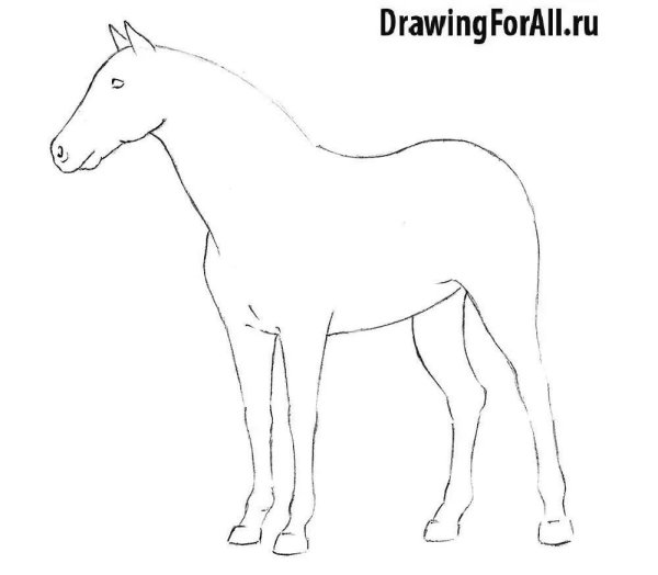 Лошадка раскраска для малышей