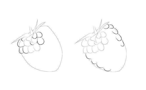 Малина карандашом