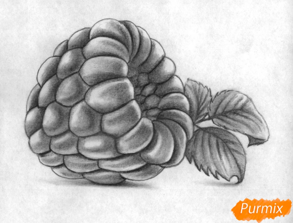 Как нарисовать малину карандашом