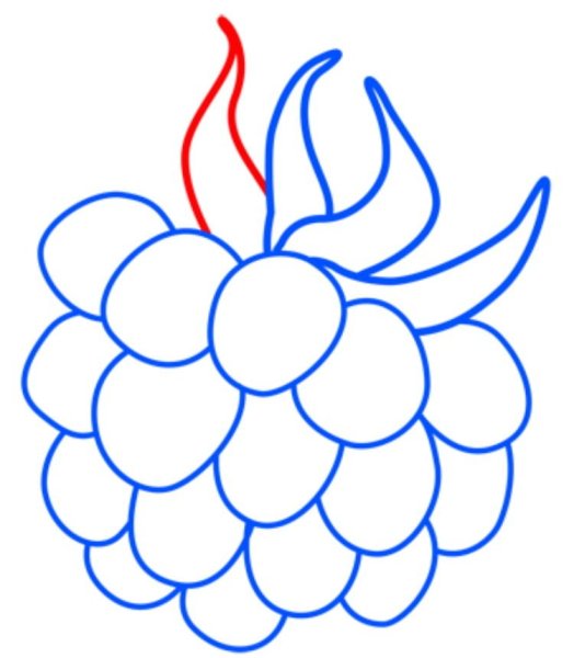 Ягоды черно белые