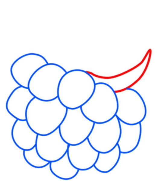 Малина карандашом