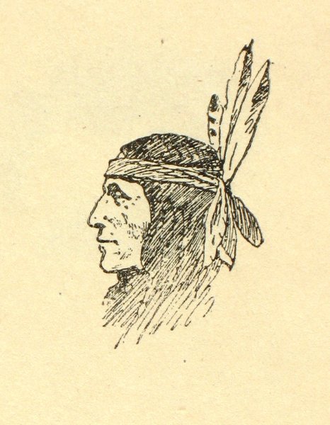 Контур лица индейца