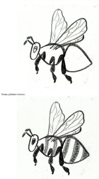 Рисование для детей Пчелка