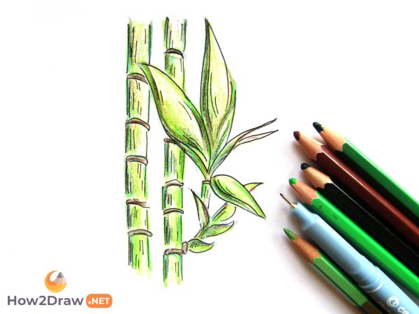 Бамбуковый карандаш