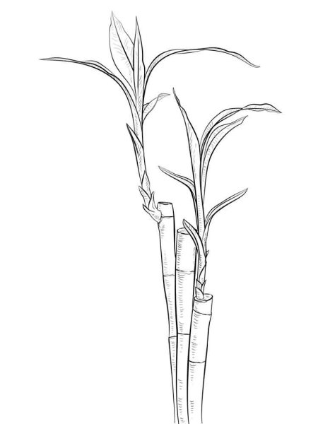 Тростник нарисованный