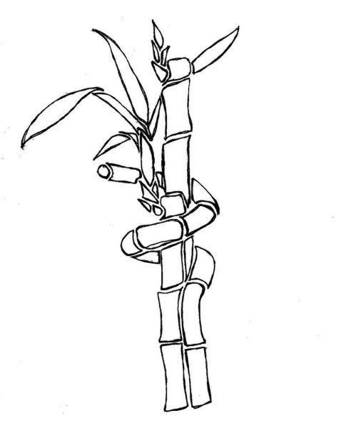 Рисование бамбука для детей