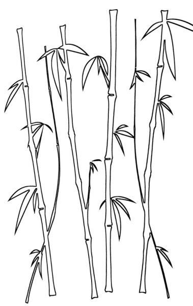 Бамбук нарисованный