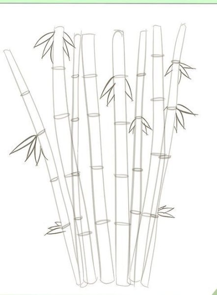 Поэтапное рисование бамбука