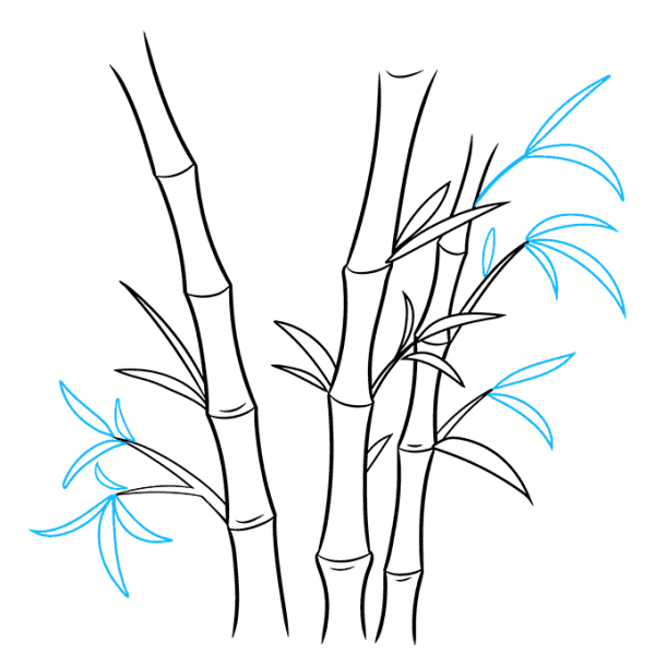 Как рисовать бамбук