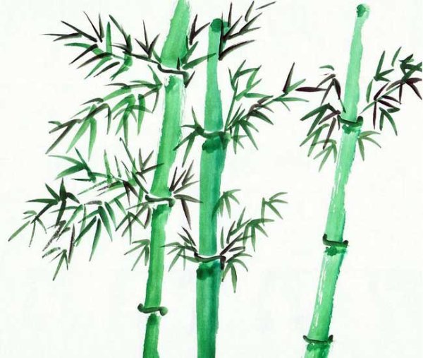 Рисование бамбука