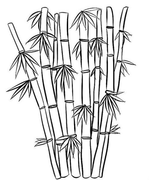 Бамбук раскраска для детей