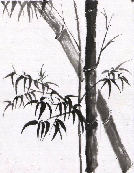 Бамбук карандашом