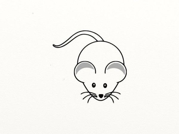 Рисунок мыши для срисовки