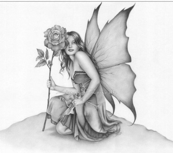 Грифон тату