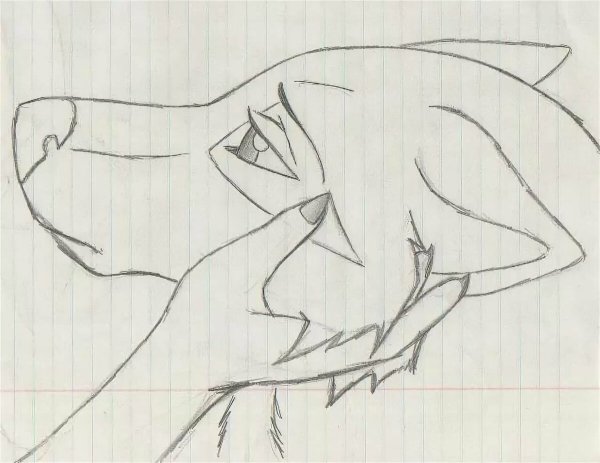 Рисунки карандашом лёгкие