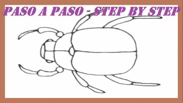 Как нарисовать жука в коробке