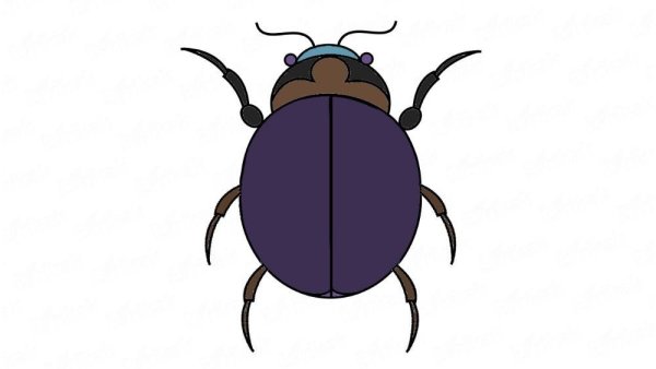 Жук картинка для детей