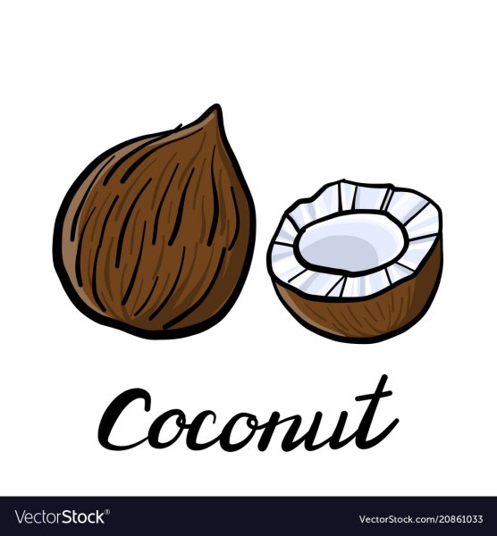 Кокос для срисовки