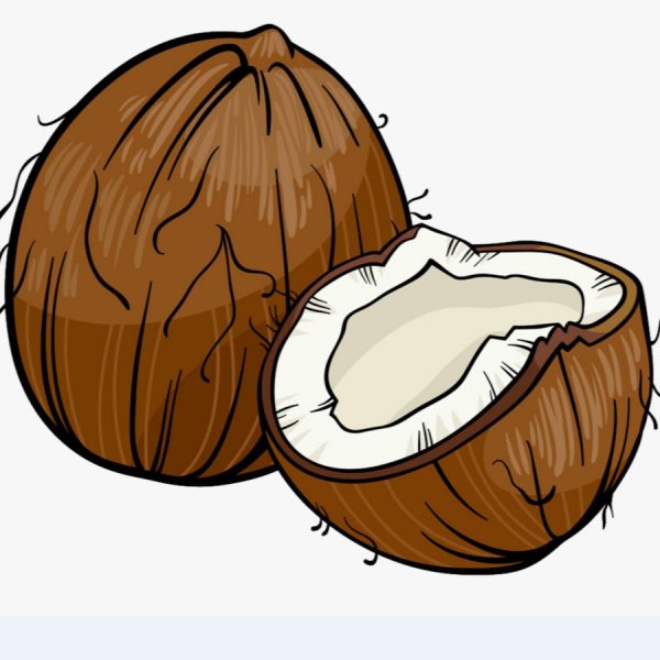 Кокос рисунок легкий