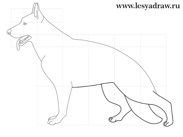 Рисунок немецкой овчарки карандашом для детей легкие