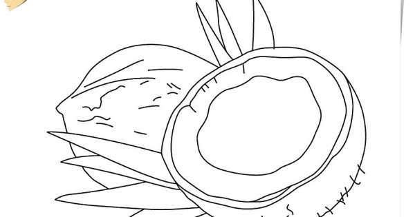 Кокос карандашом