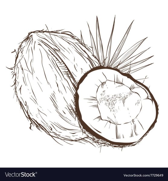 Кокос стилизация