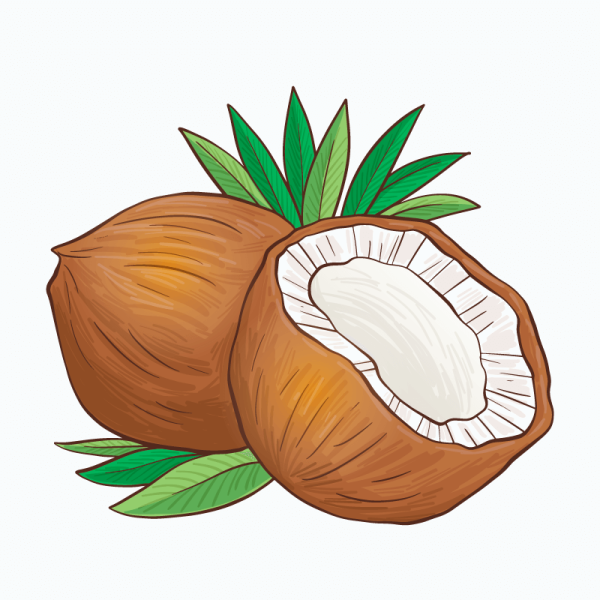 Кокос мультяшный