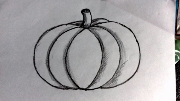 Рисование овощей тыква