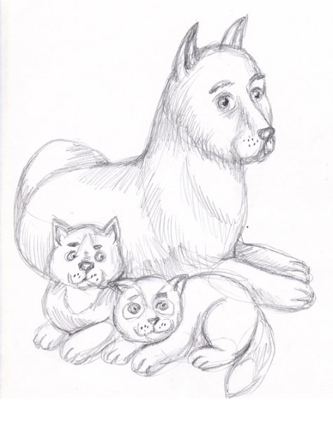 Рисунки карандашом