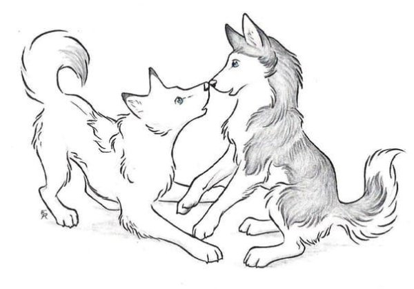 Кошка и собака для срисовки