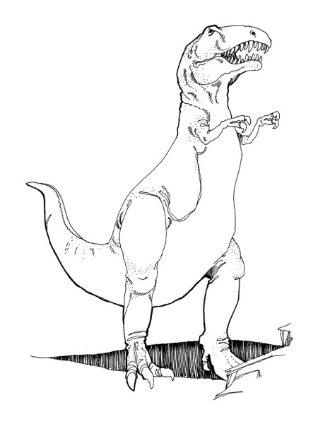 Тираннозавр рекс раскраска