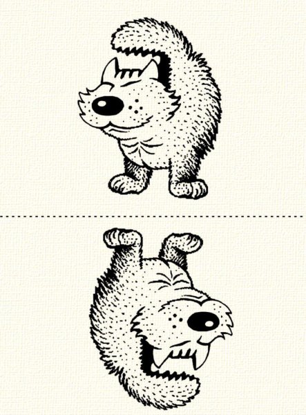 Иллюзии перевертыши