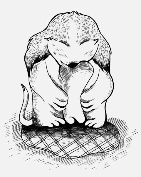 Переверни картинку