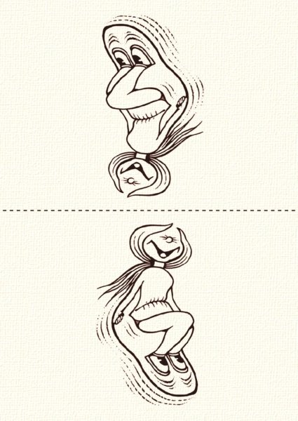 Обман зрения перевертыши