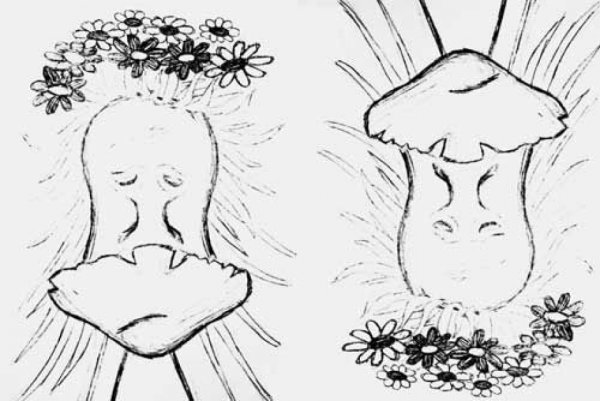 Карикатура перевертыш