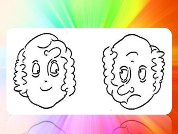 Оптические иллюзии перевертыши