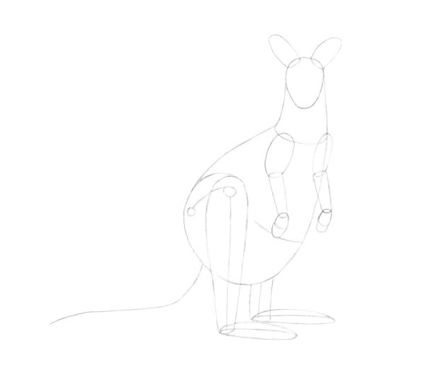 Кенгуру рисунок для детей карандашом простые