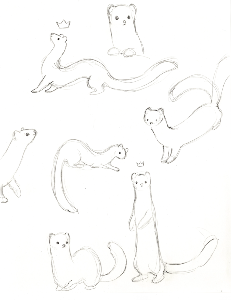 Хорек набросок