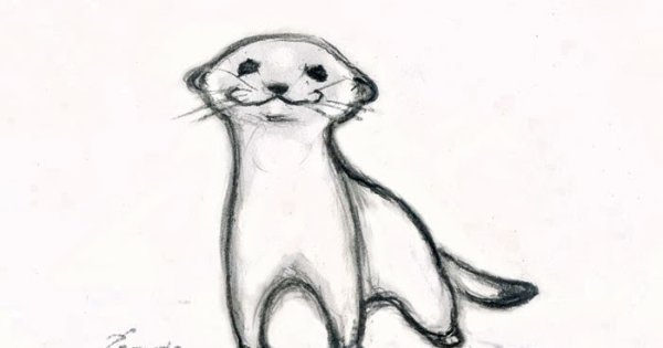 Ласка рисунок карандашом