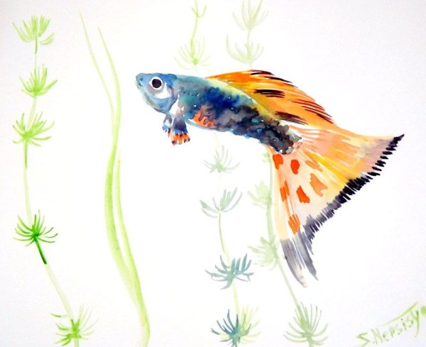 Гуппи арт