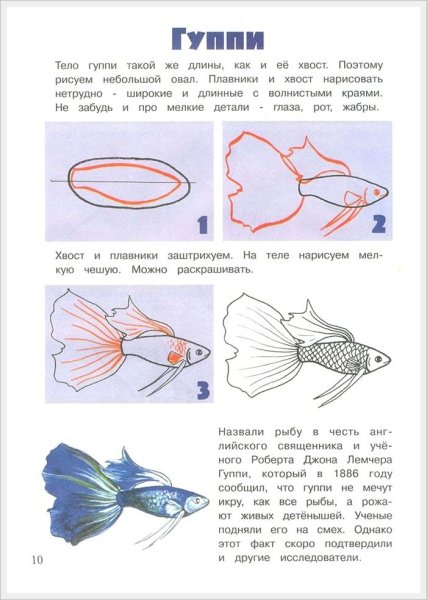 Плавники рыб нарисовать