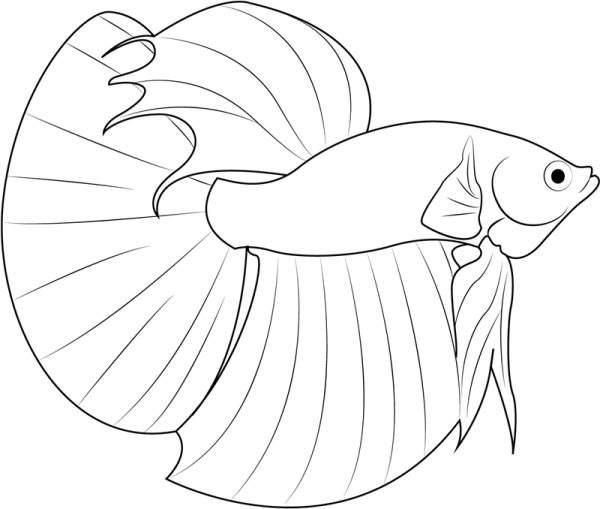 Рыбка карандашом