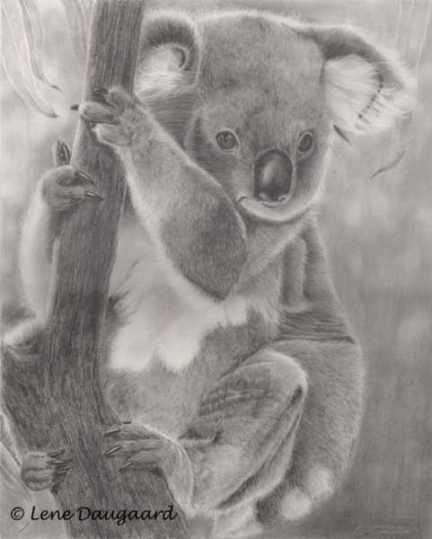 Куала карандашом